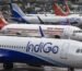 indigo air india